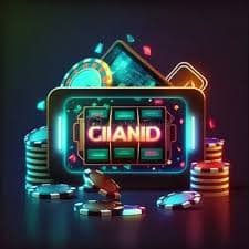 ran4d ran4d Privacy Policy for Your Account
